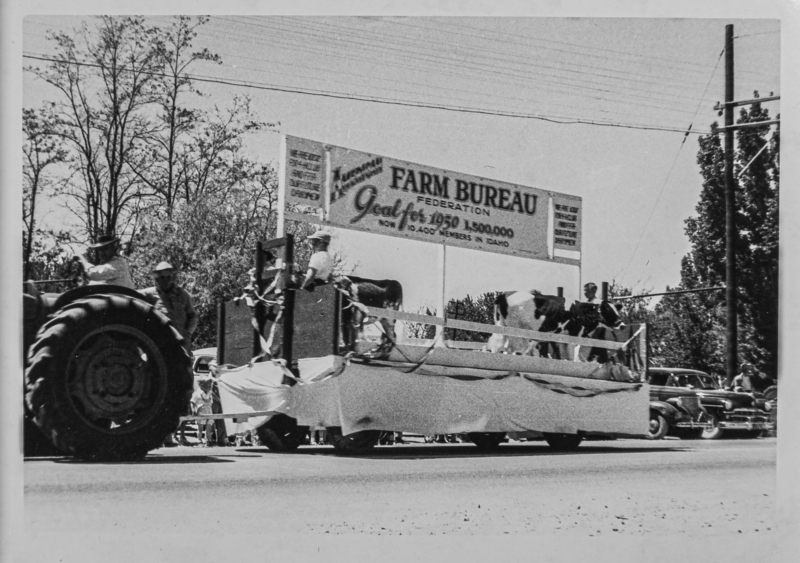 The Farm Bureau Federation float. Riding are men and live cows. The float is pulled by a tractor. "Goal for 1950 - 1,500,000. Now 10,000 members in Idaho."