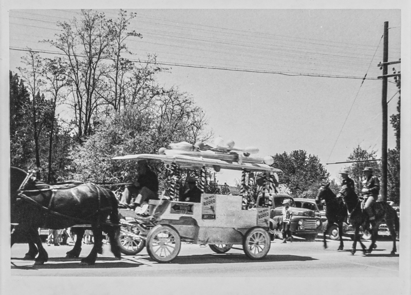 A dark horse pulling a carriage that has signs on it, promoting the rodeo.