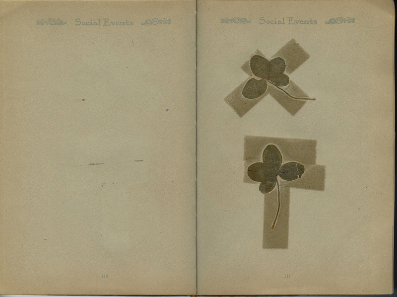 Two real four-leaf clovers pasted into the scrapbook.