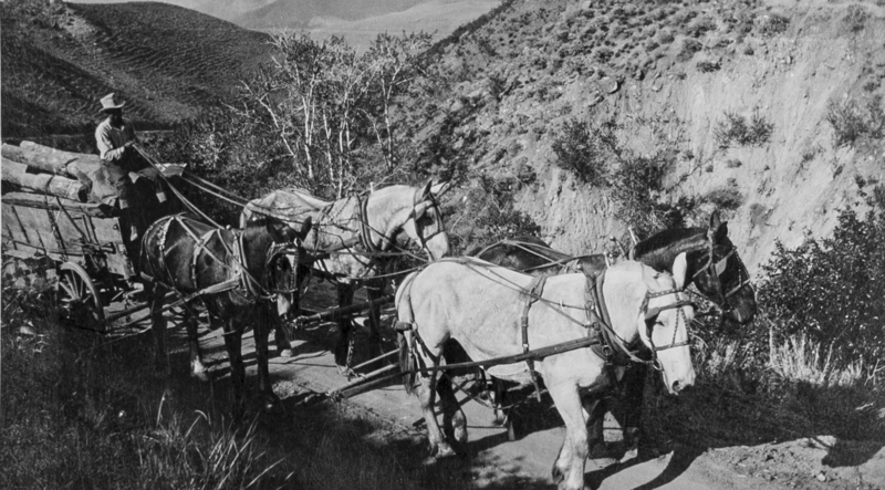 Earl Rambo driving wagon through hills. Earl lived from 1895-1958 so we estimage this image dates from 1930.