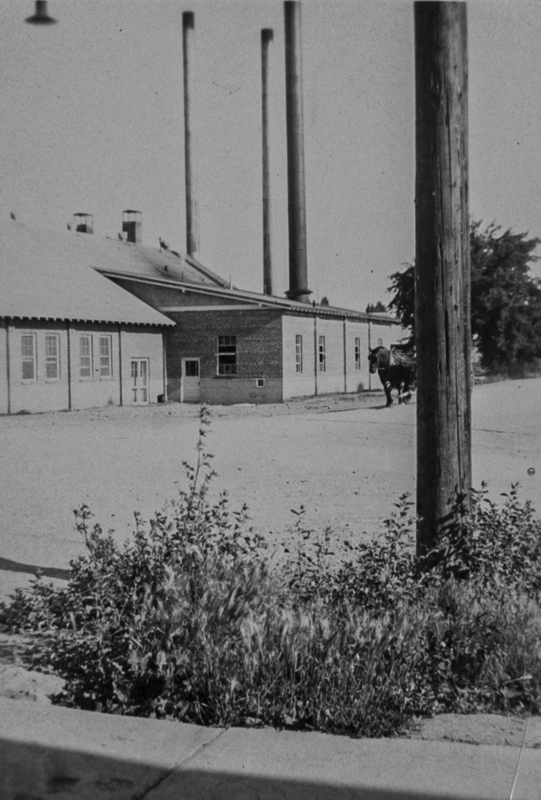 Shot outside the creamery, showing a horse in the background