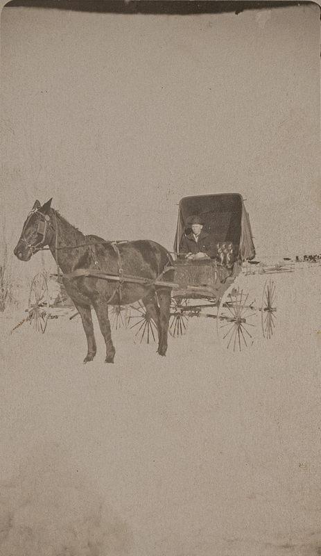 Man in horse drawn buggy