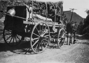 Horse Drawn Wagon on its way to Yellowstone. Telephone pole indicates a slightly later time period - perhaps a reenactment?