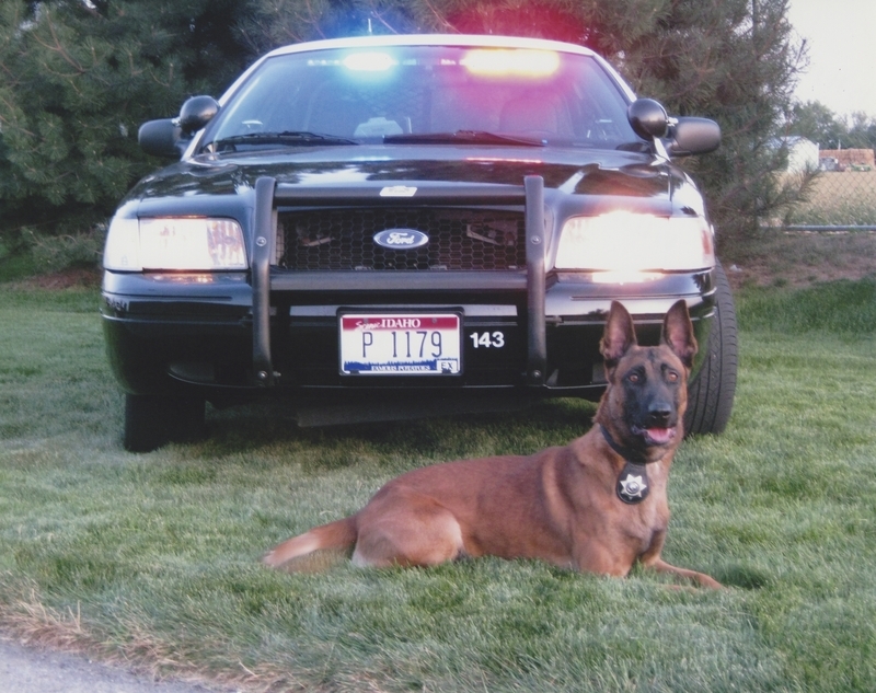 Meridian Police K-9 & Patrol Car, circa 2010s