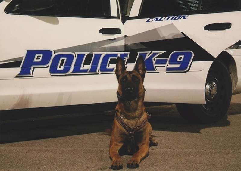 Police K-9 Next to White Police Car, circa 2010s