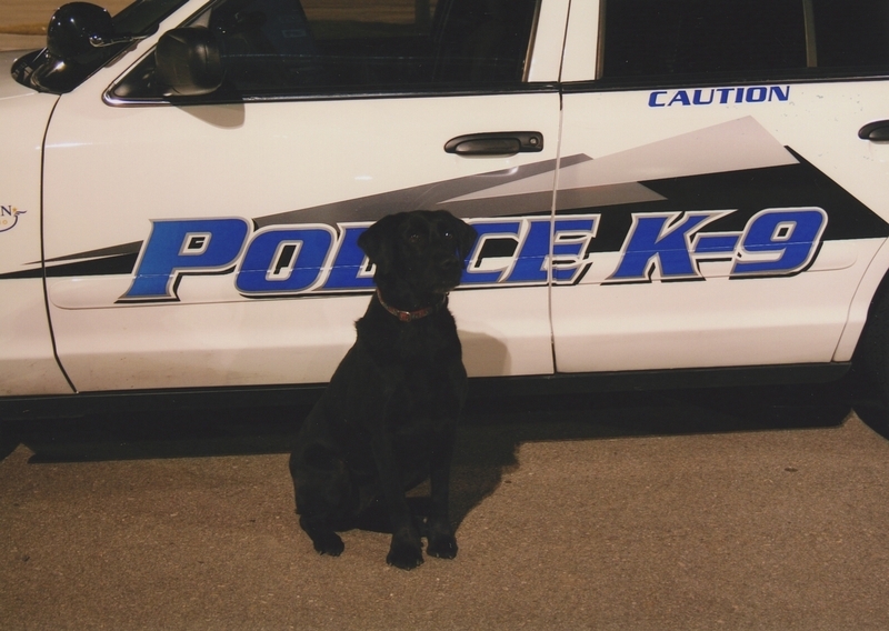 Police K-9 Next to White Police Car, circa 2010s