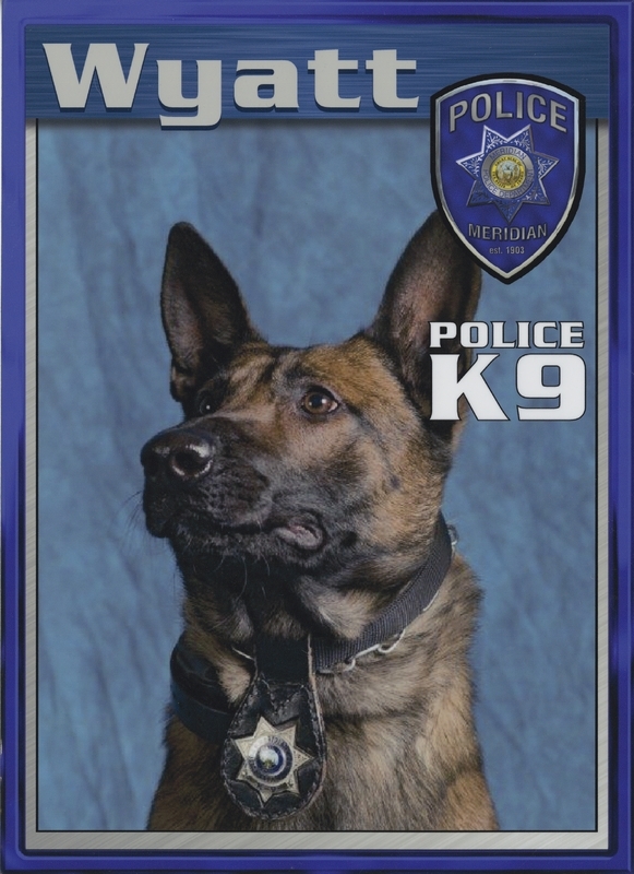 Wyatt-K-9 Police Card, circa 2012