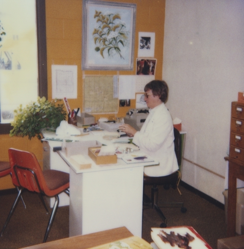 Nancy Spear, Meridian Library clerk-typist, sits at her desk working. 