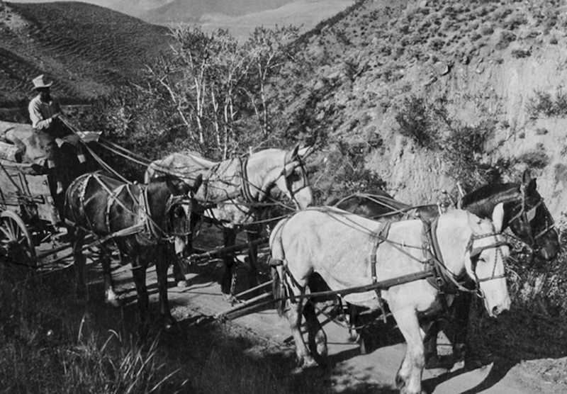 The Mayes and Gray families are among the early settlers of Meridian, Idaho. The images in this digital collection range from 1890 to 1980 and are a wonderful snapshot into Meridian's past.