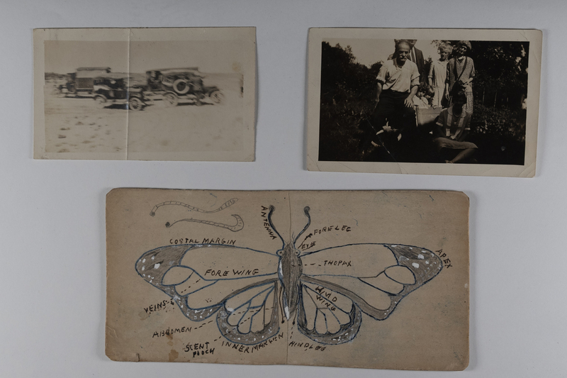 Top left: Automobiles and the auto bungalow traverse the desert.<br>Top right: Family members pose for picture.<br>Bottom: Hand drawing of a butterfly (or moth) on card stock.